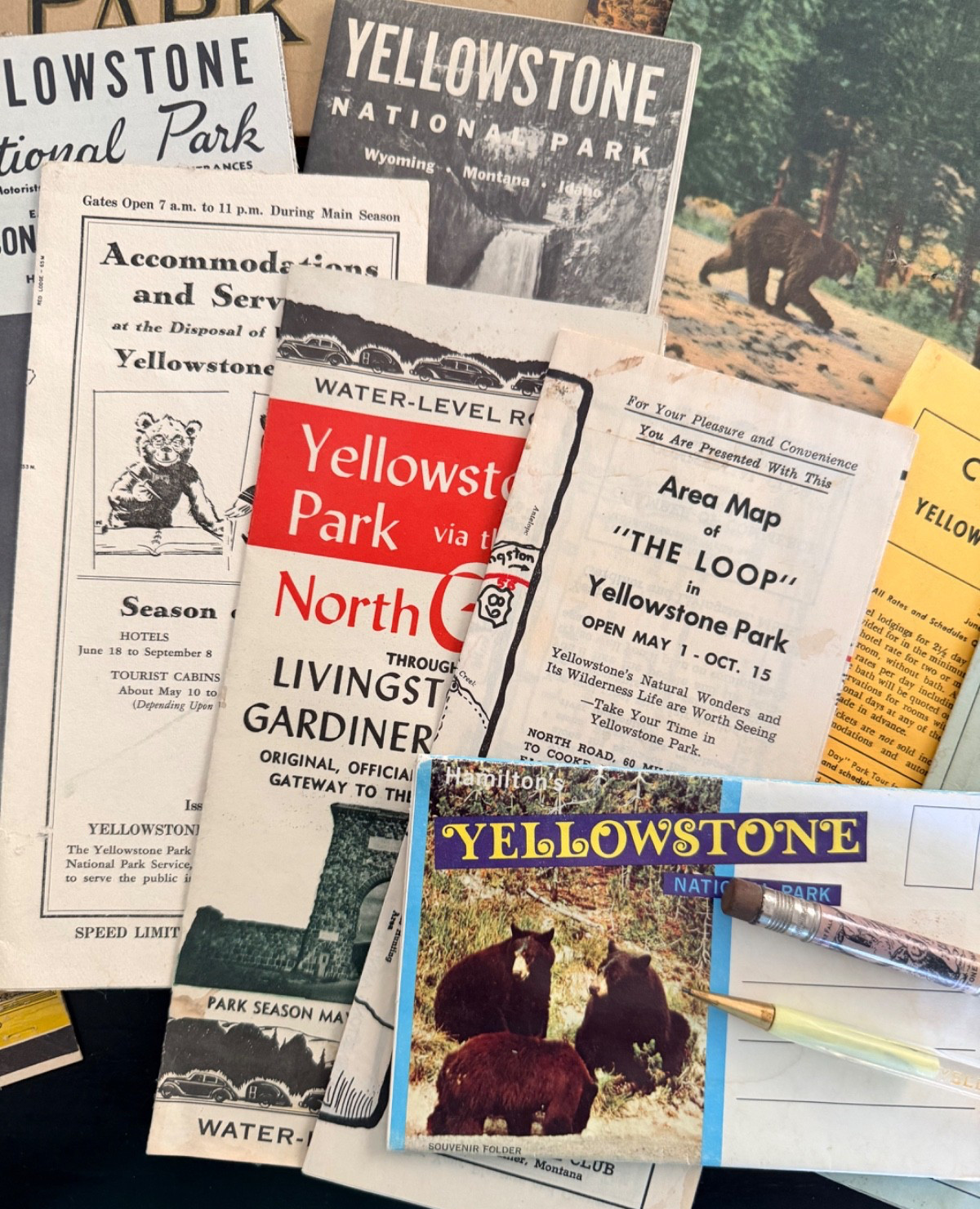 Vintage Yellowstone National Park Ephemera Mixed Lot! Maps~Postcards~Souvenirs++