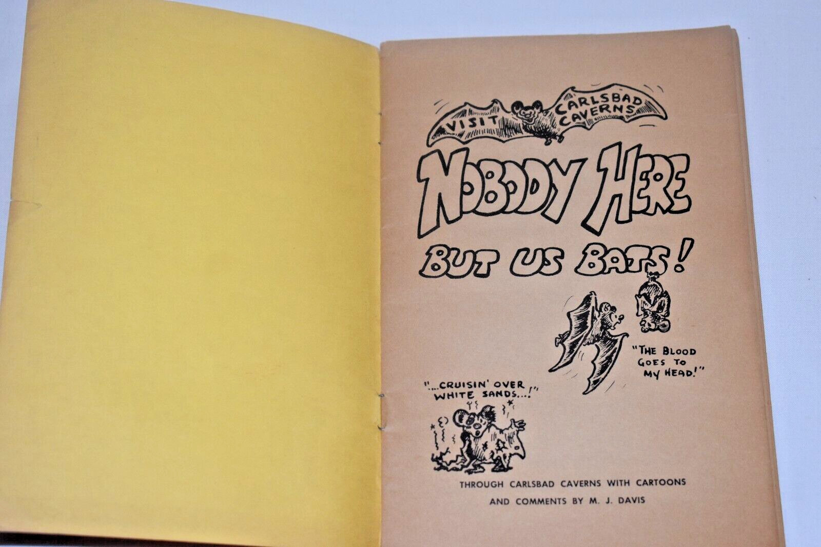 Nobody Here but us Bats by M.J. Davis SC Book Carlsbad Caverns Cartoon Cavalcade