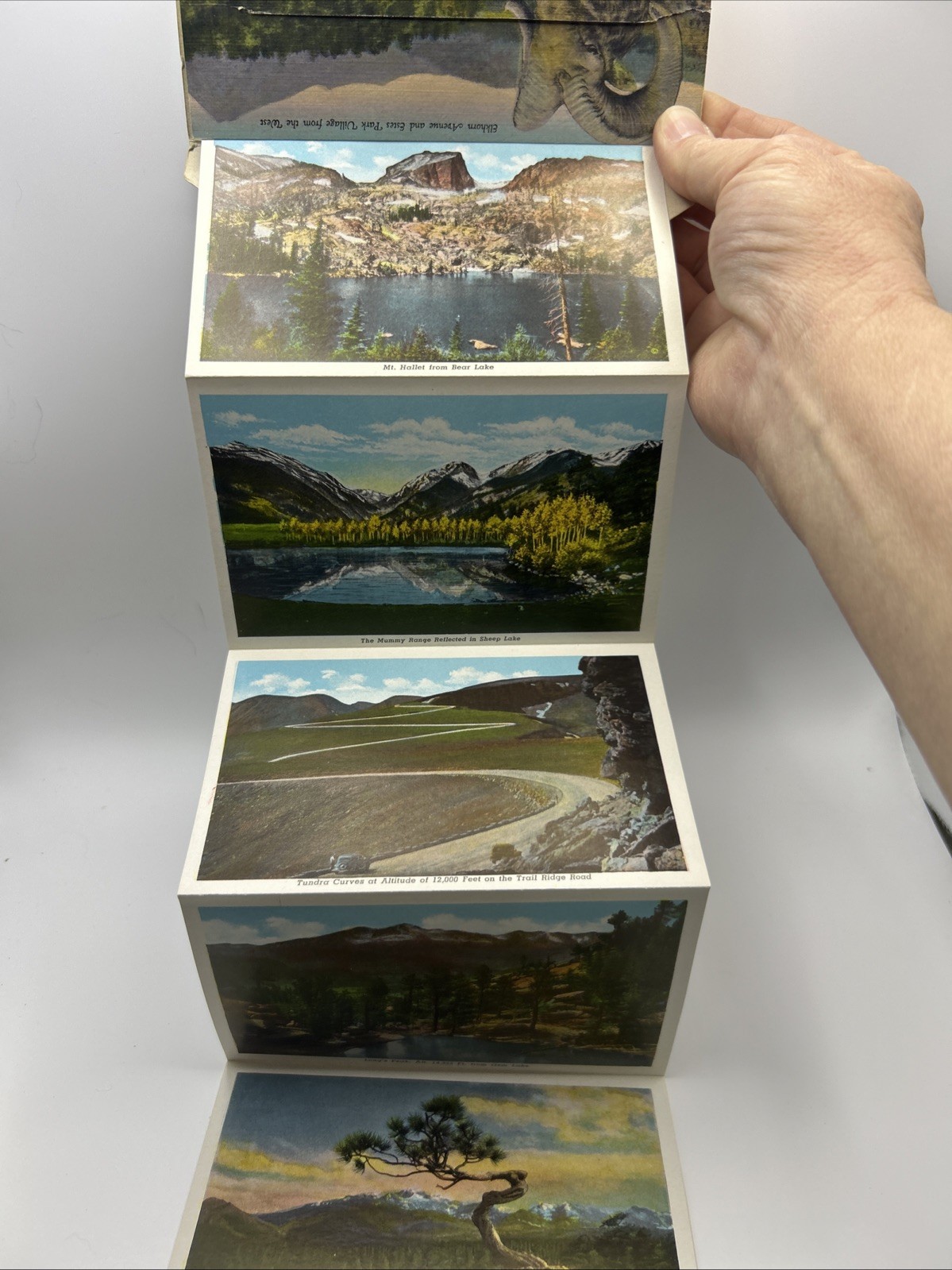 Vintage Estes Park Souvenir Folder Picture Cards National Park Colorado Rocky Mt