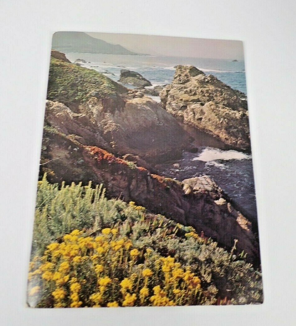 Vintage Mead Portfolio Paper Folder 33-2802 Friends of the Earth David Brower