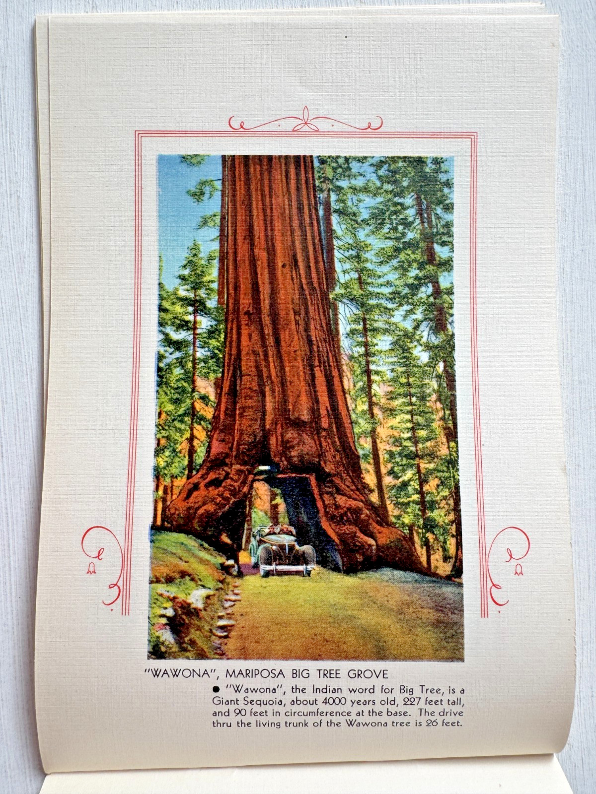 1930-40’s Yosemite National Park Picture Book w/ 32 Pictures B
