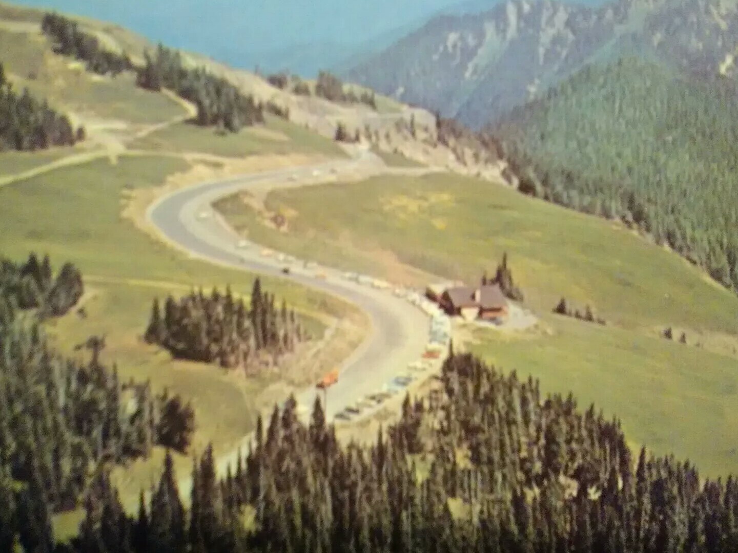 POST CARD HURRICANE RIDGE – OLYMPIC NATIONAL PARK WASHINGTON
