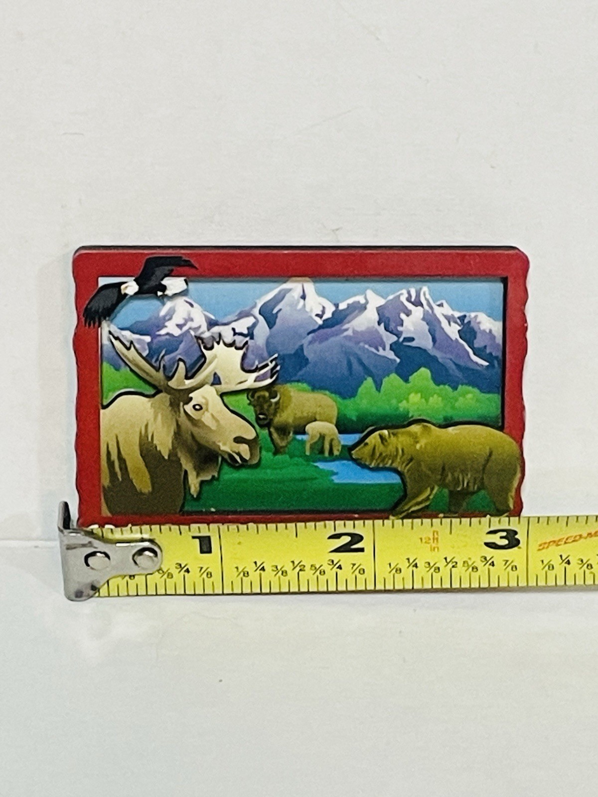 Grand Teton National Park Moose Bear Eagle Framed Souvenir Fridge Magnet