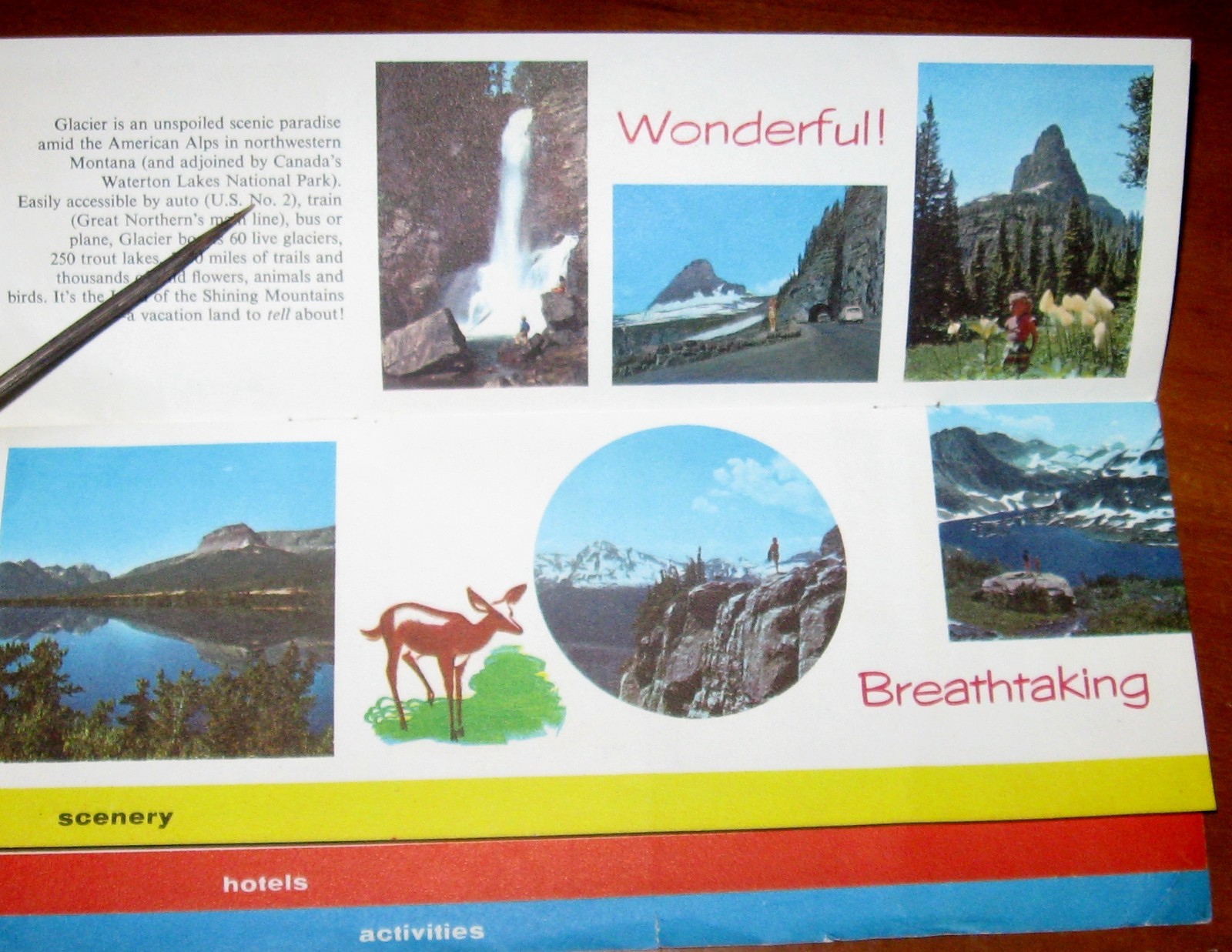 1960 Glacier National Park Brochure Greater Northern Railway USA Travel History
