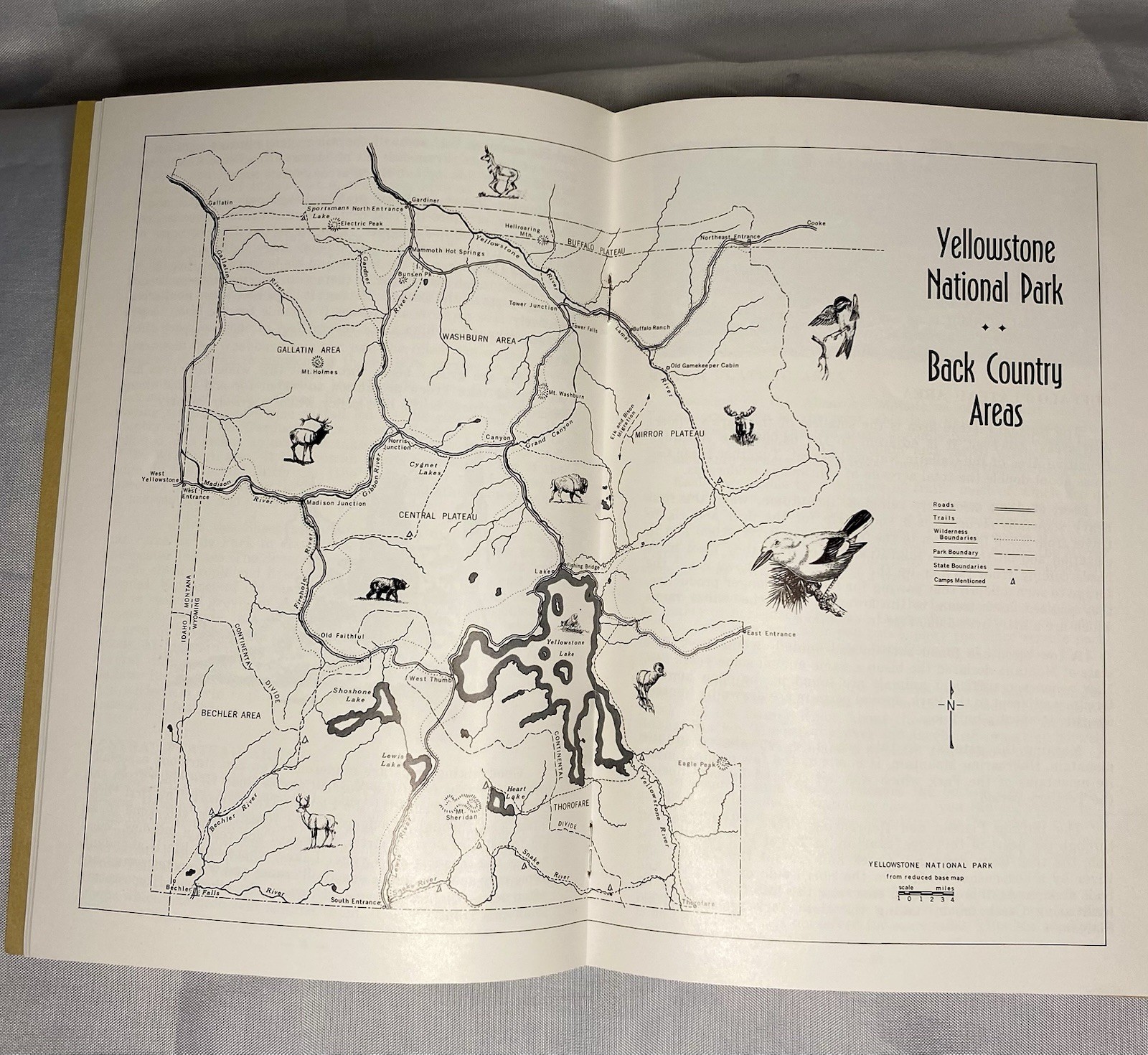 🏕️ Vintage Travel Book Lot of 4 1970s Yellowstone National Park Guides
