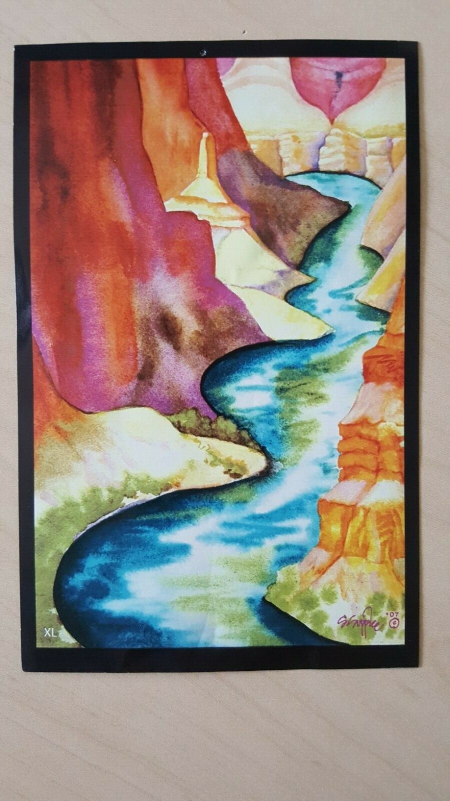 Grand Canyon Phantom Ranch Cotton Short Sleeve Shirt size Small Rafting Art