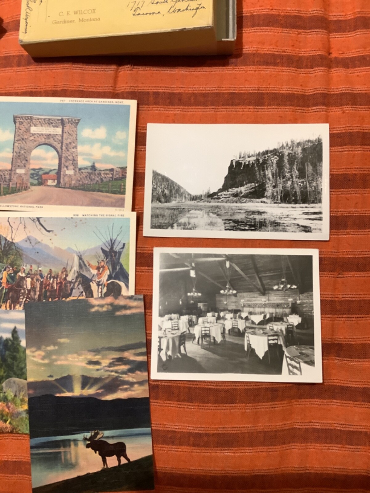 Yellowstone National Park Views Vintage 1920s Fifty Postcard Set