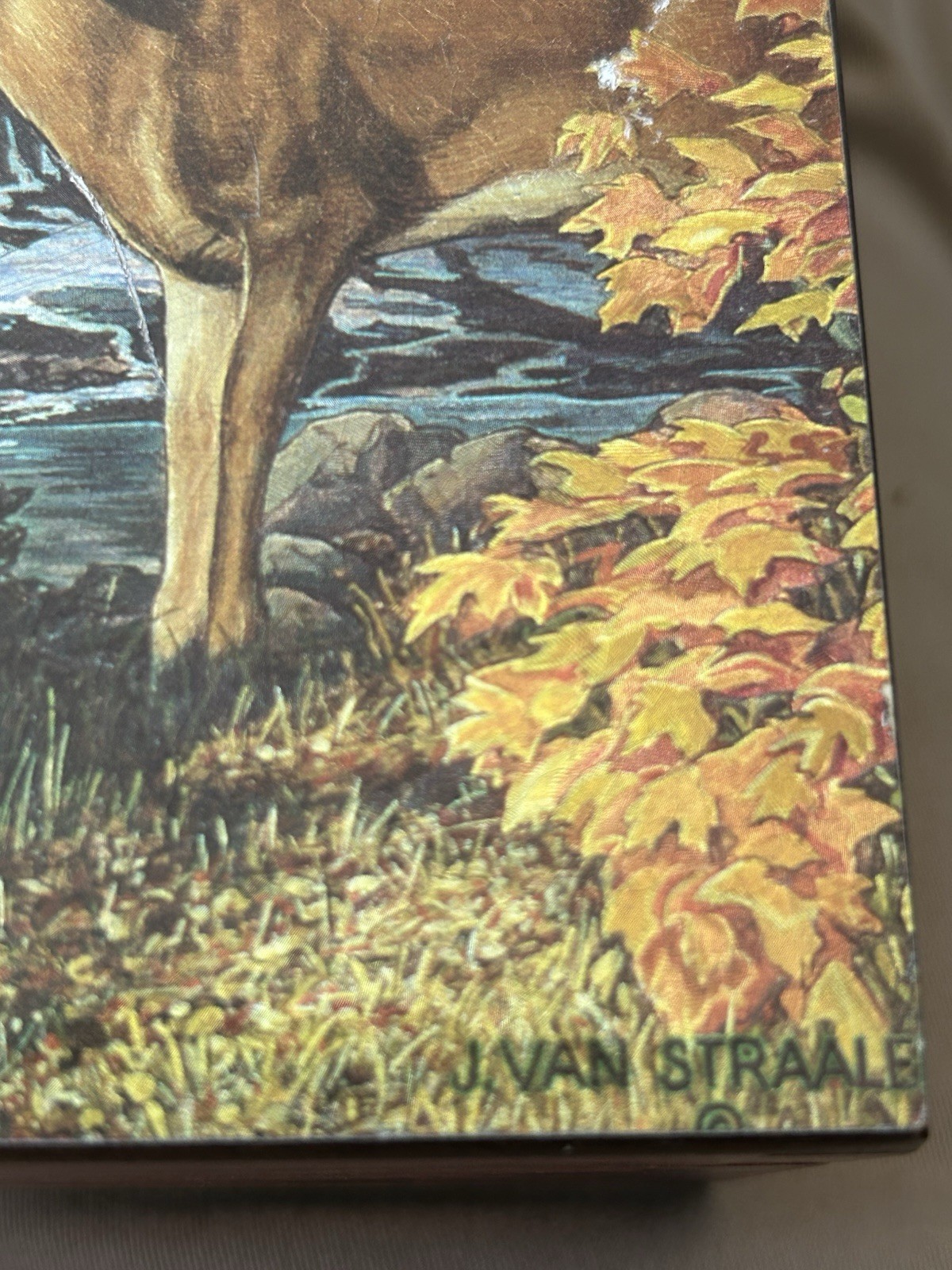 VTG Yellowstone Souvenir Wooden Box J Van Straalen Artwork Wildlife Park Rustic