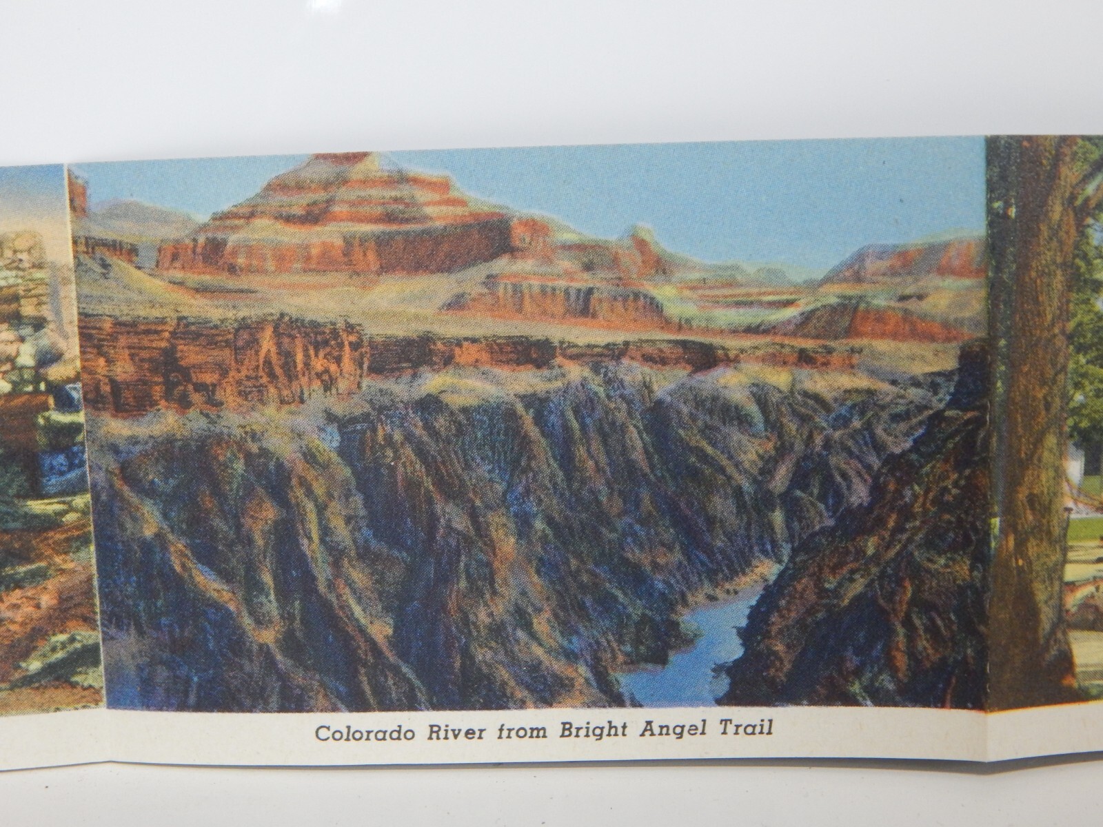 Vintage Grand Canyon National Park Souvenir Picture Booklet 1951