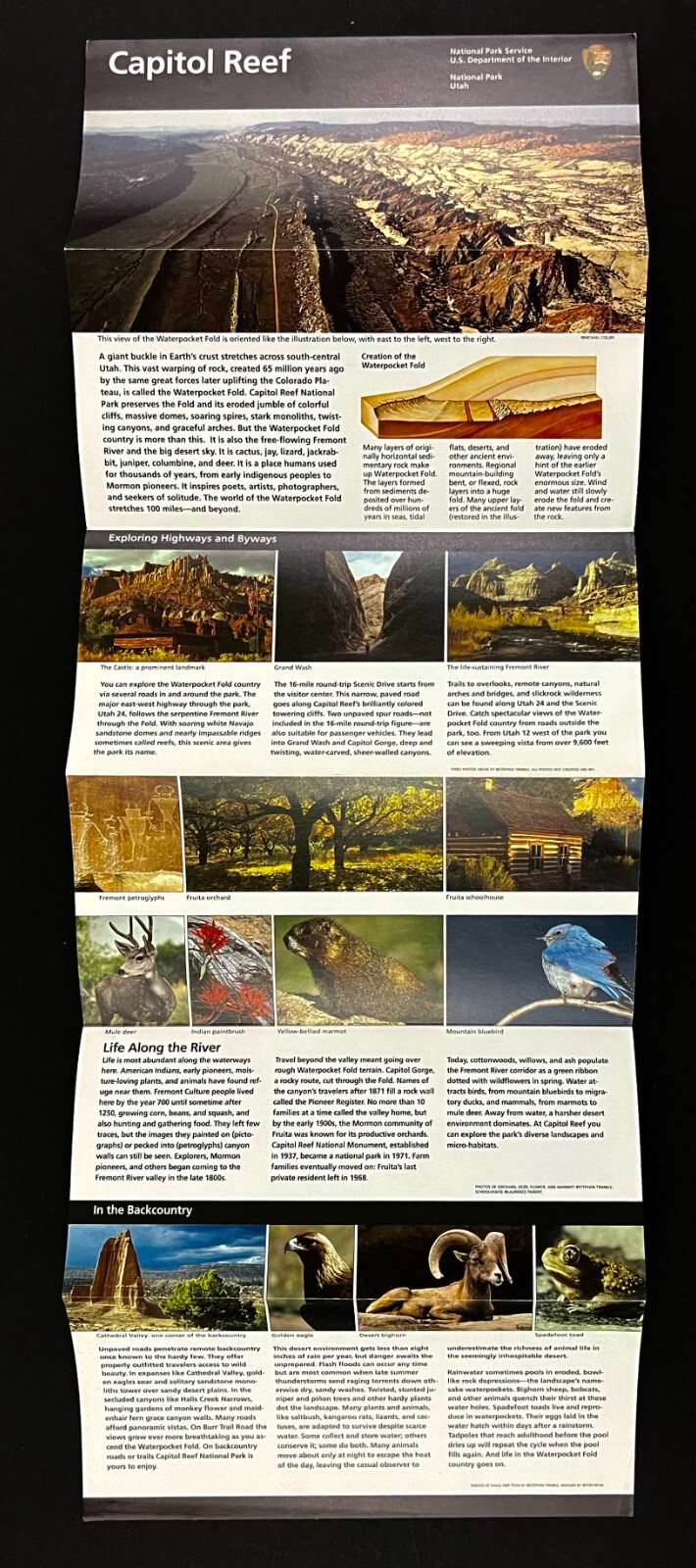 2010 Capitol Reef National Park Utah Official Government Map Guide Brochure UT