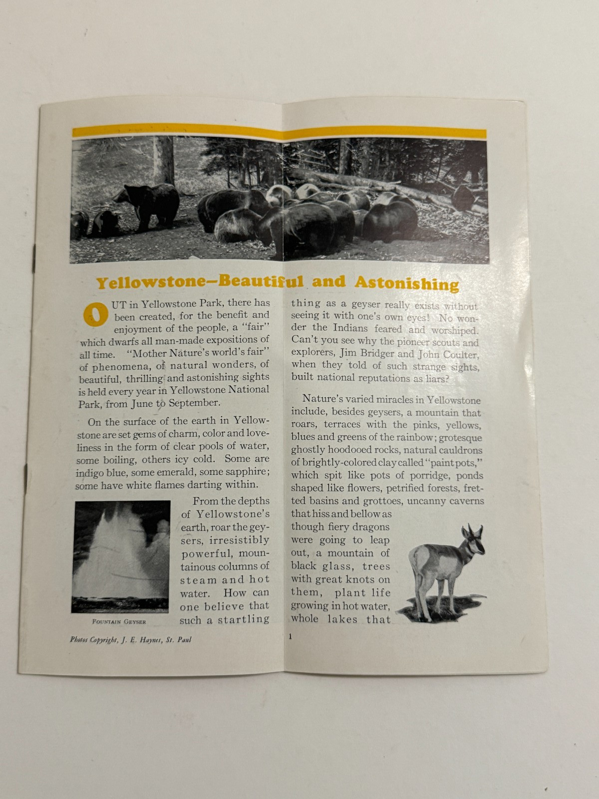 1930s Yellowstone National Park Advertising Tourist Travel Brochure