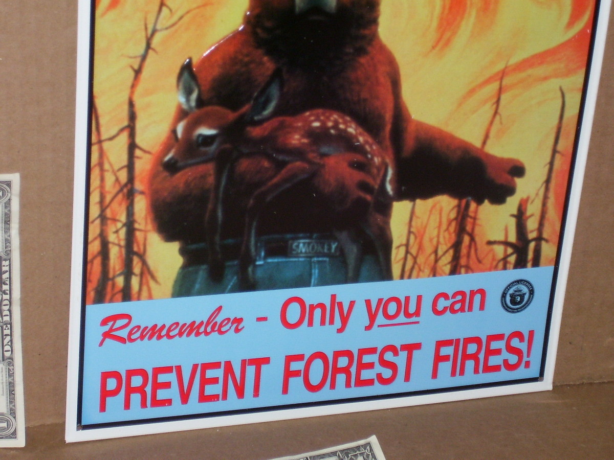SMOKEY THE BEAR — Saving Deer From FOREST FIRE — Embossed Tin Metal Sign -NICE