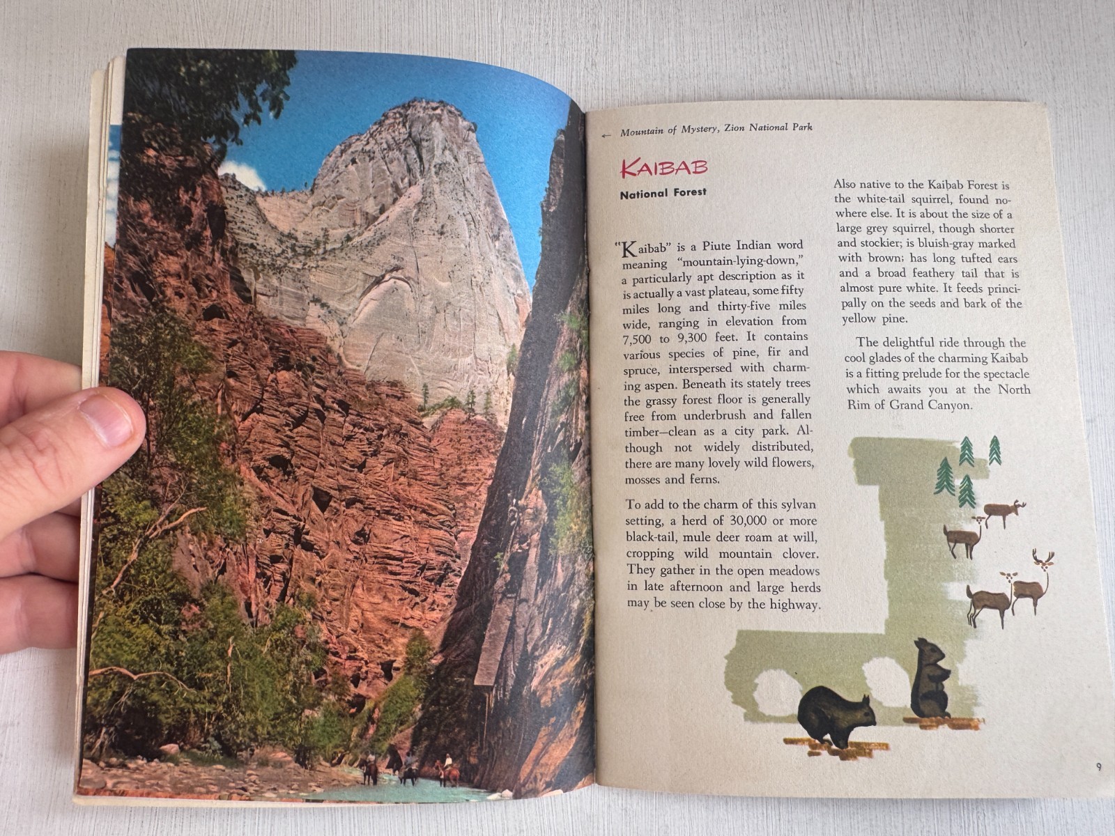 1951 Union Pacific Railroad Travel Guide for Zion, Bryce & Grand Canyon