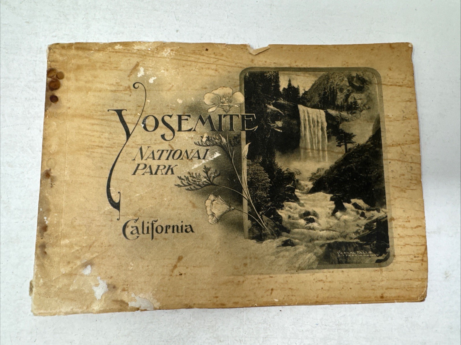 Yosemite National Park California Photo Gravures Set Vintage Pacific Novelty