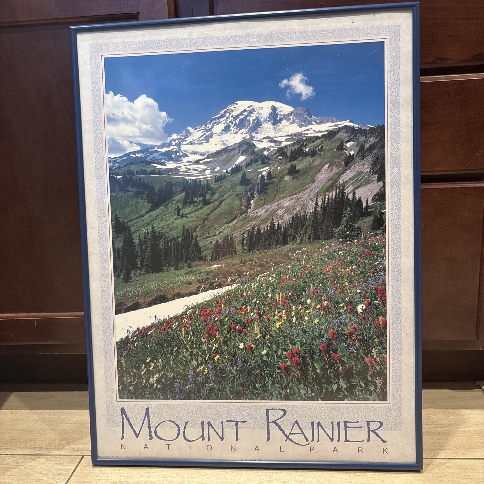 Mount Rainier National Park Framed Art Print Washington (24.5 x 18.5 Inches)