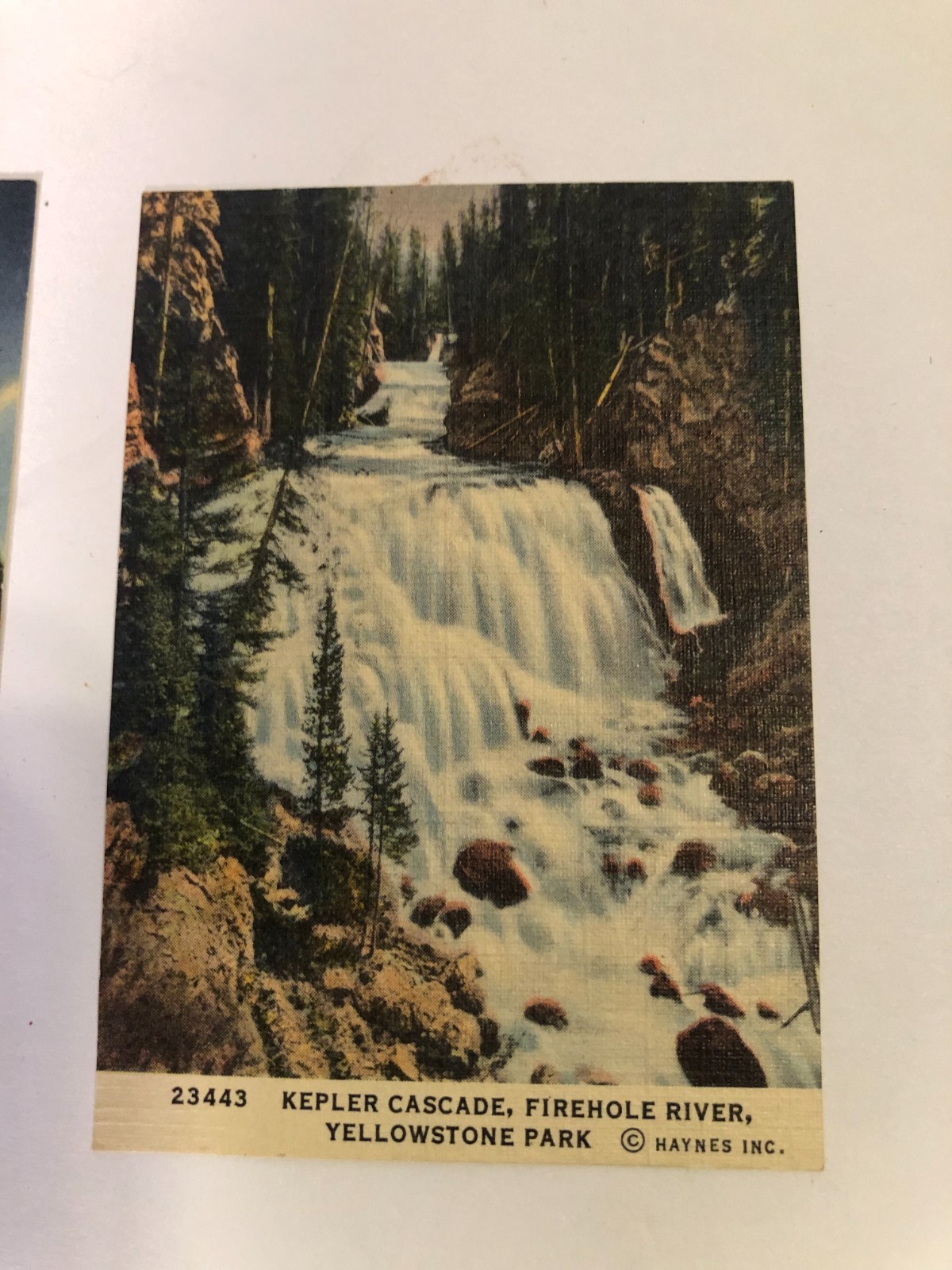 10 Haynes Inc small (2.5 x 3.5) Yellowstone color prints