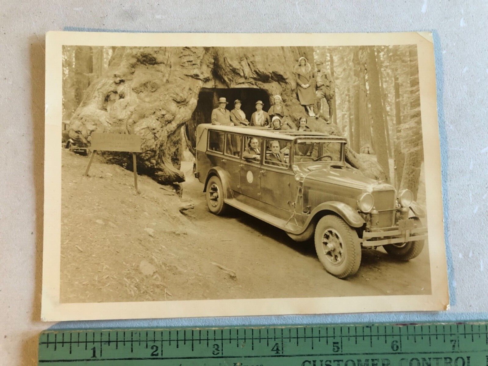 Antique Souvenir Tourist 5”x7” Photo Card Yosemite Park & Curry Co Dated 1932