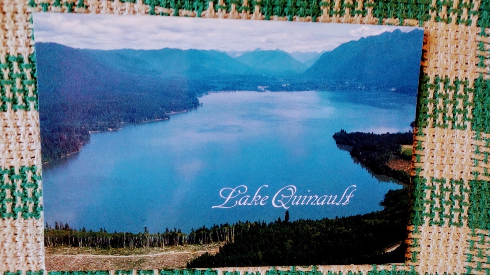 BEAUTIFULCHROME POST CARD LAKE QUINAULT WASHINGTON OLYMPIC NATIONAL PARK