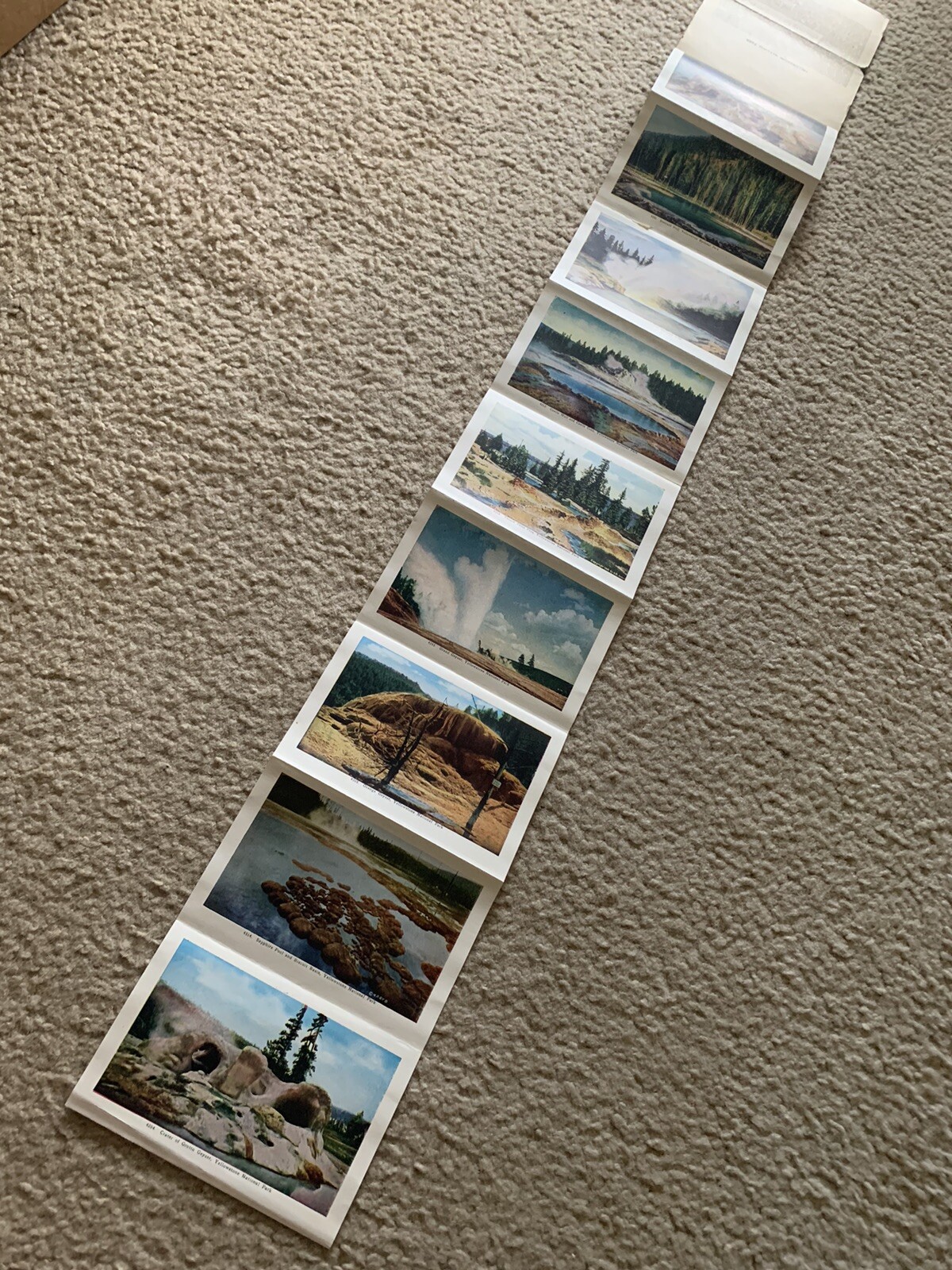 1920s 1927 GEYSERLAND YELLOWSTONE NATIONAL PARK souvenir Pack Picture Cards Vtg