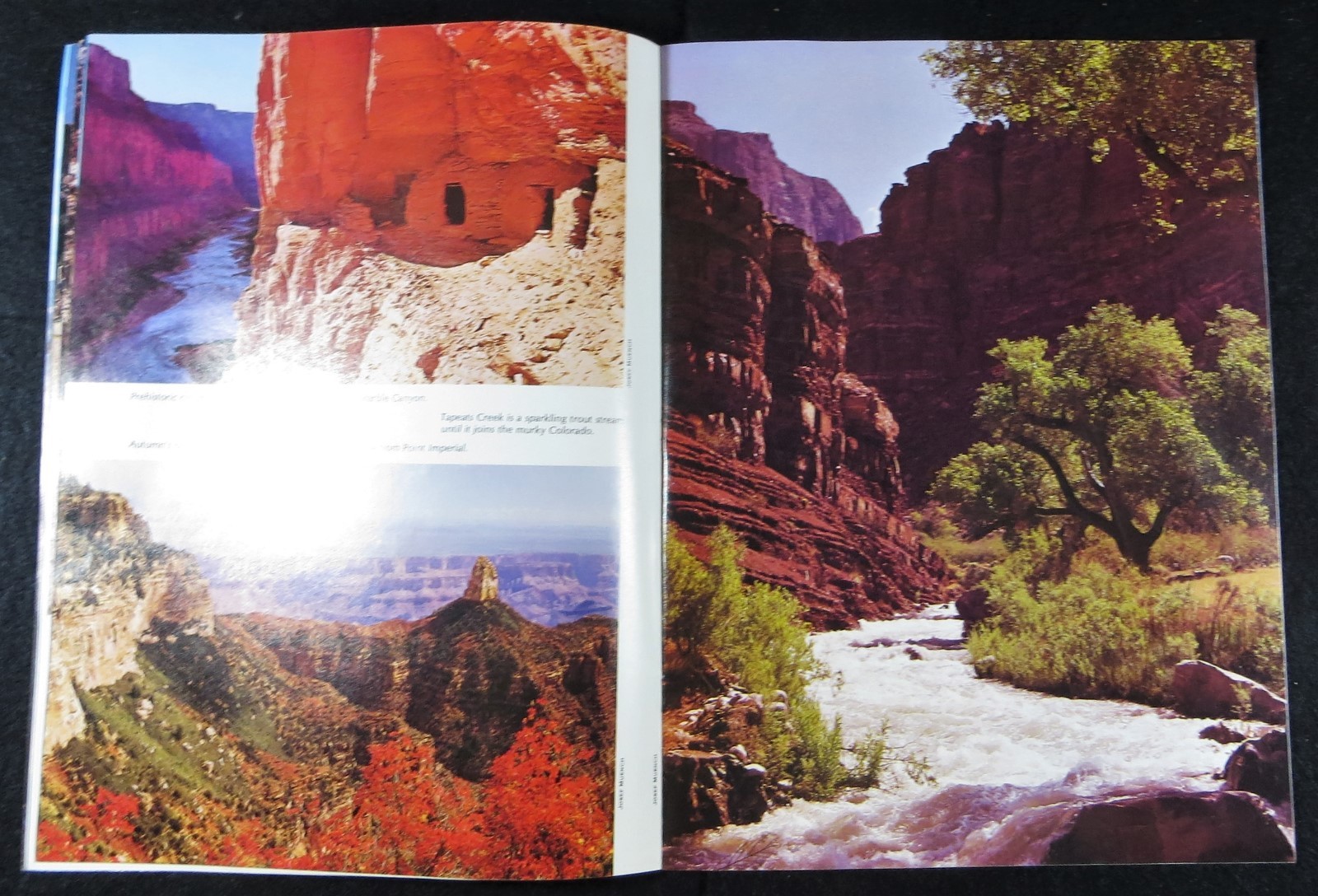 GRAND CANYON COUNTRY by Carlos Elmer 1983 Softcover Box 3