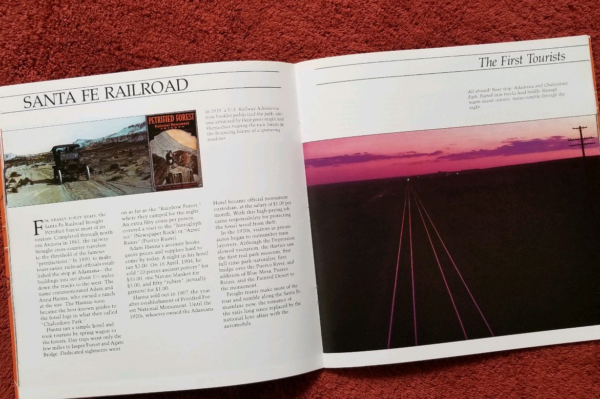 Earth Journey A Road Guide To The Petrified Forest 1984 by Stephen Trimble