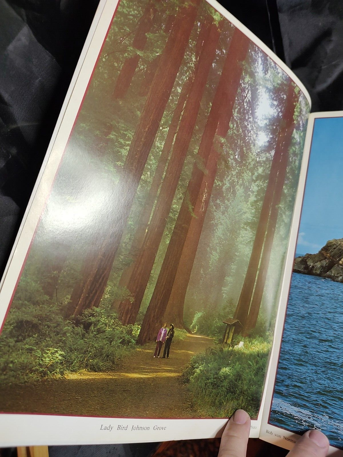 California Redwoods And The North Coast by Bob von Normann 1984 0915687003 PB