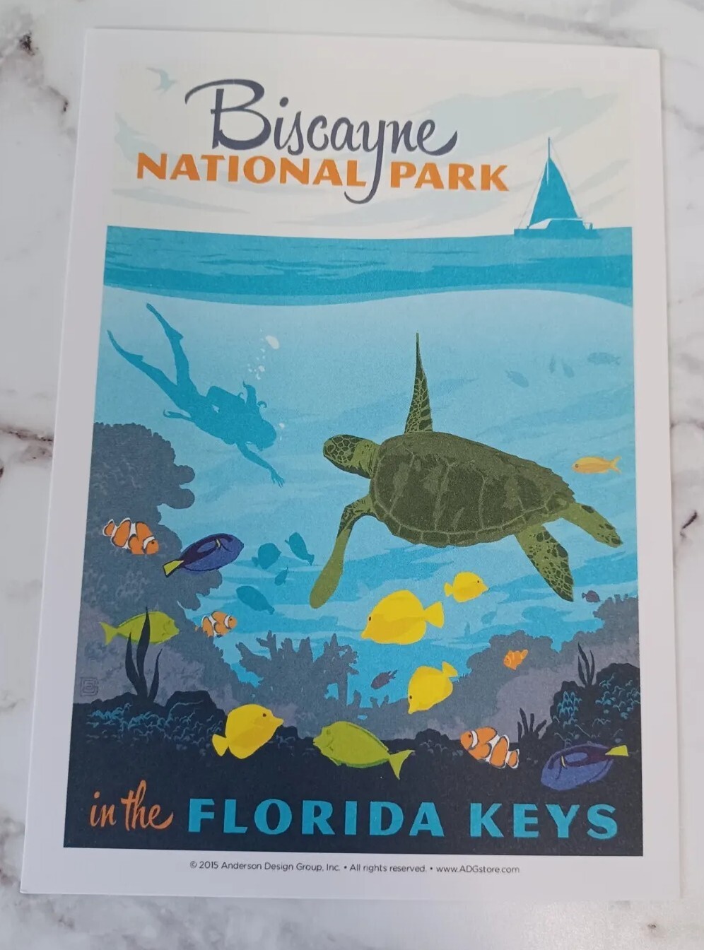 Biscayne National Parks 100th Anniversary Illustrated Print Post Card