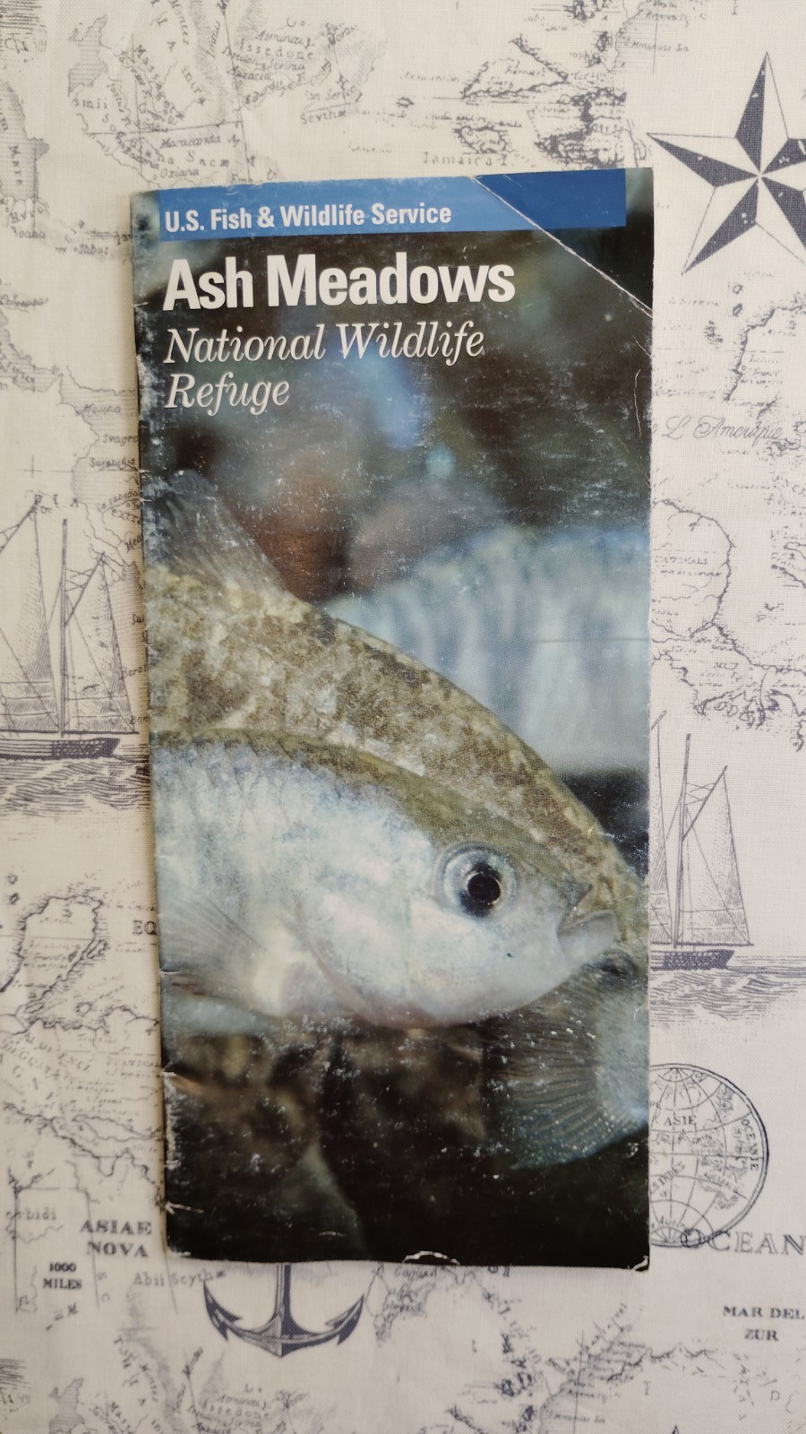 2004 US Fish & Wildlife Service Ash Meadows National Wildlife Refuge NV Brochure