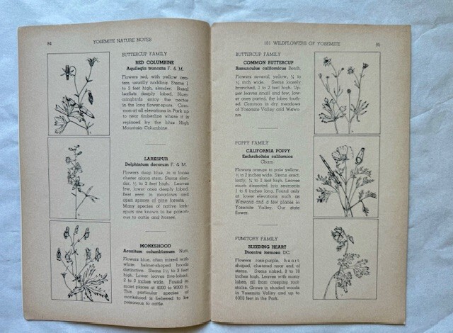 Yosemite Booklets of Wildflowers, Trees, Geology Rare 1938-39