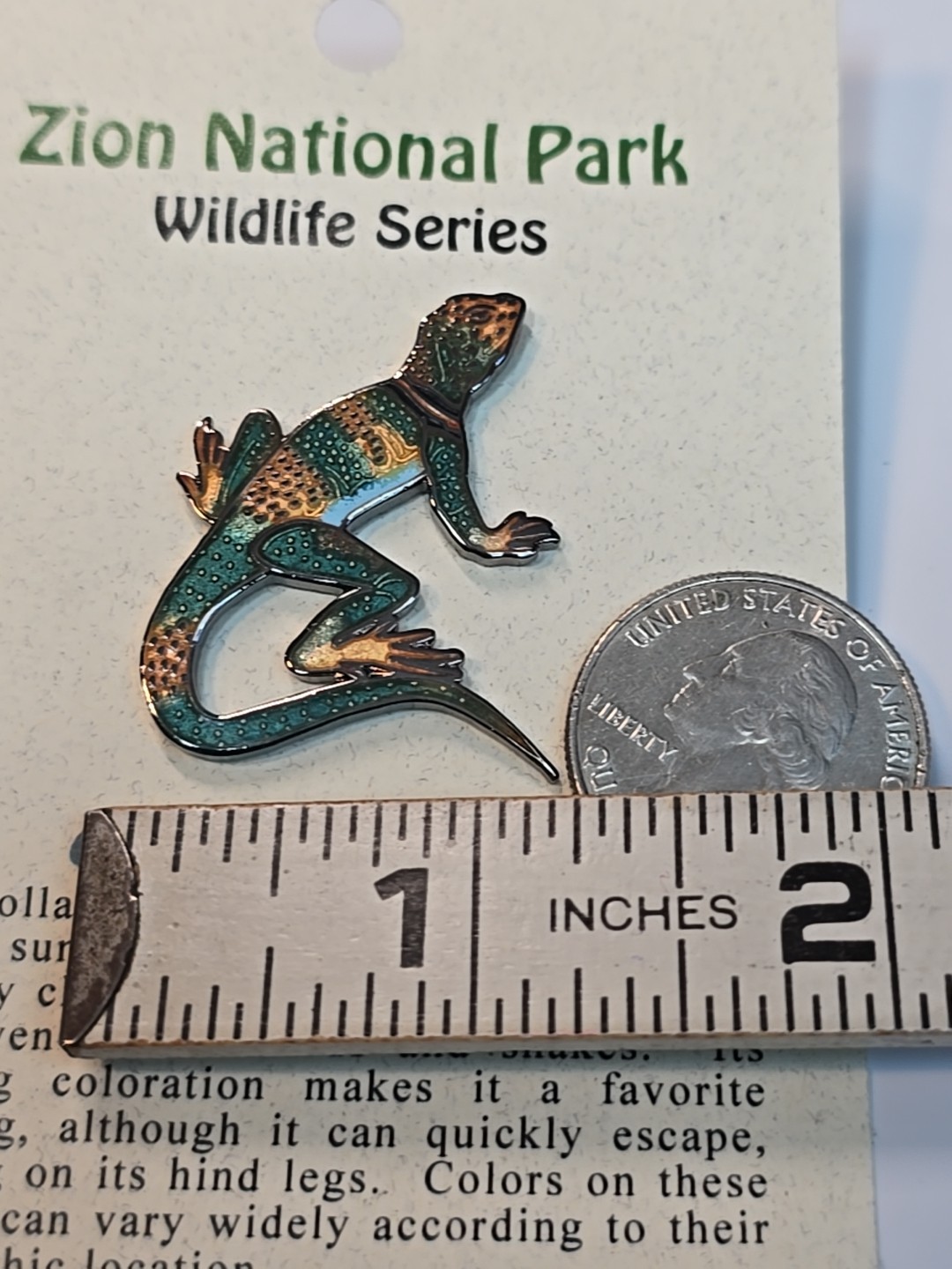 Collared Lizard Souvenir Lapel Pin Zion National Park Wildlife Series Utah