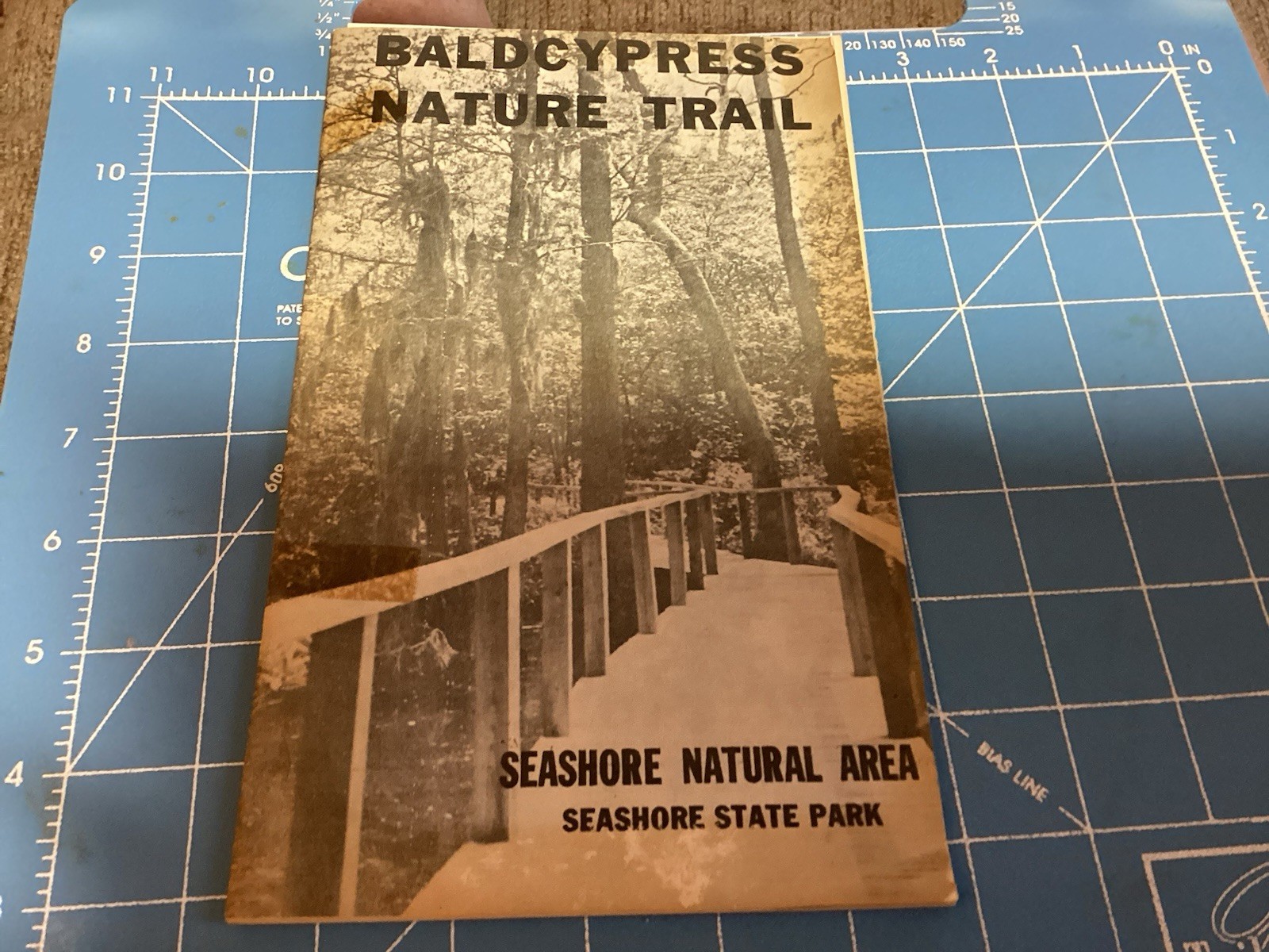 1969 Bald Cypress Nature Trail Brochure And Map