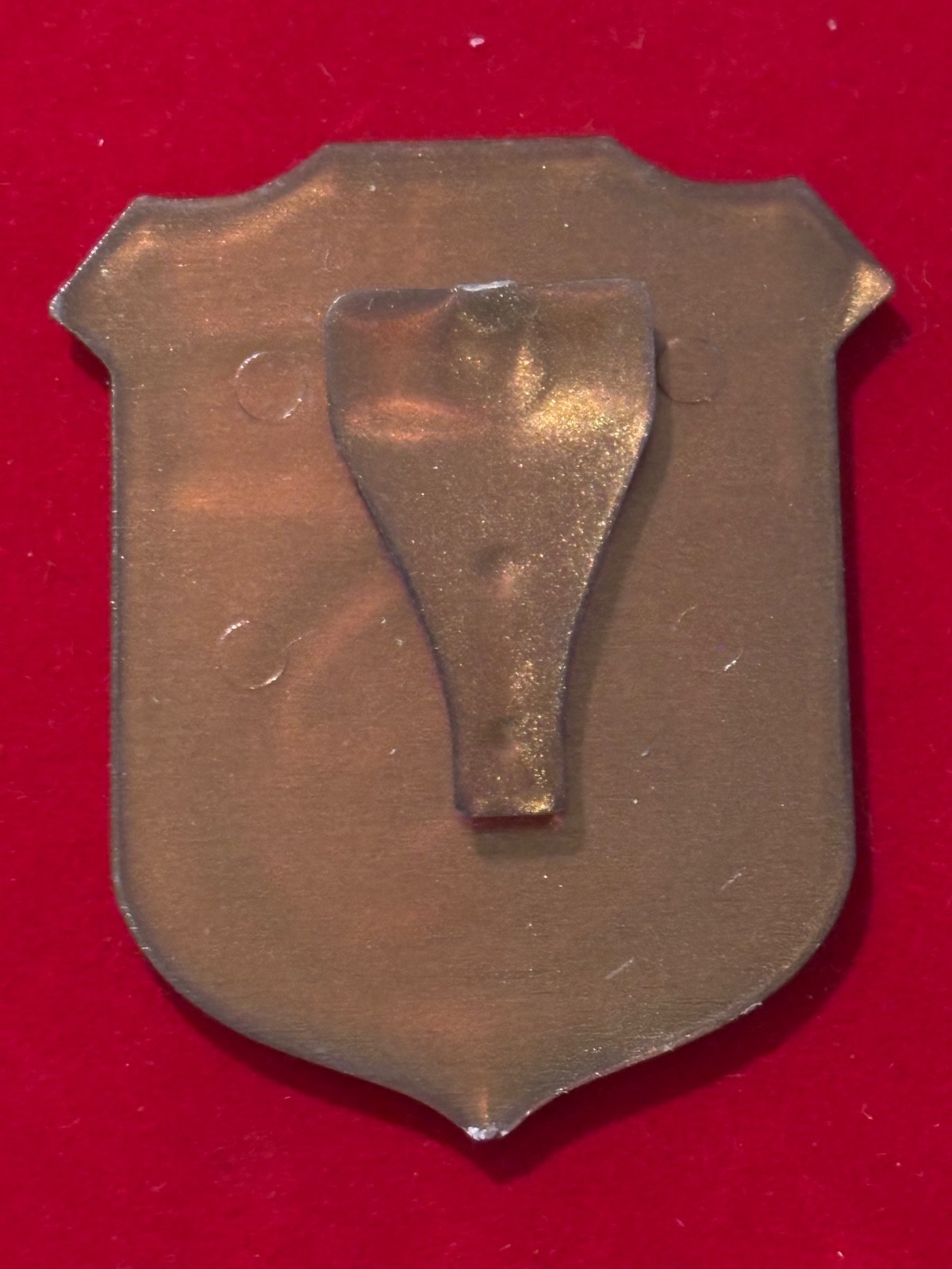 NHPA 50 1966-2016 NPS National Park Service Junior Ranger Clip On Badge
