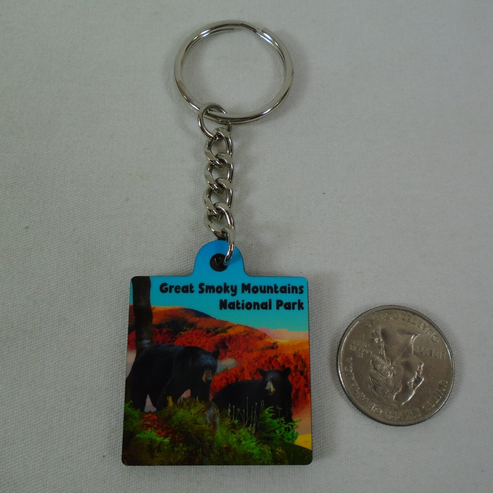 Great Smoky Mountains National Park Black Bear & Cub Keychain Souvenir Ring Fob