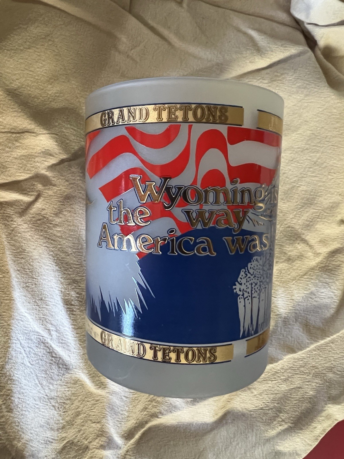 Vintage Wyoming The Way America Was Frosted Glass Tumblers w/Gold Tone Trim