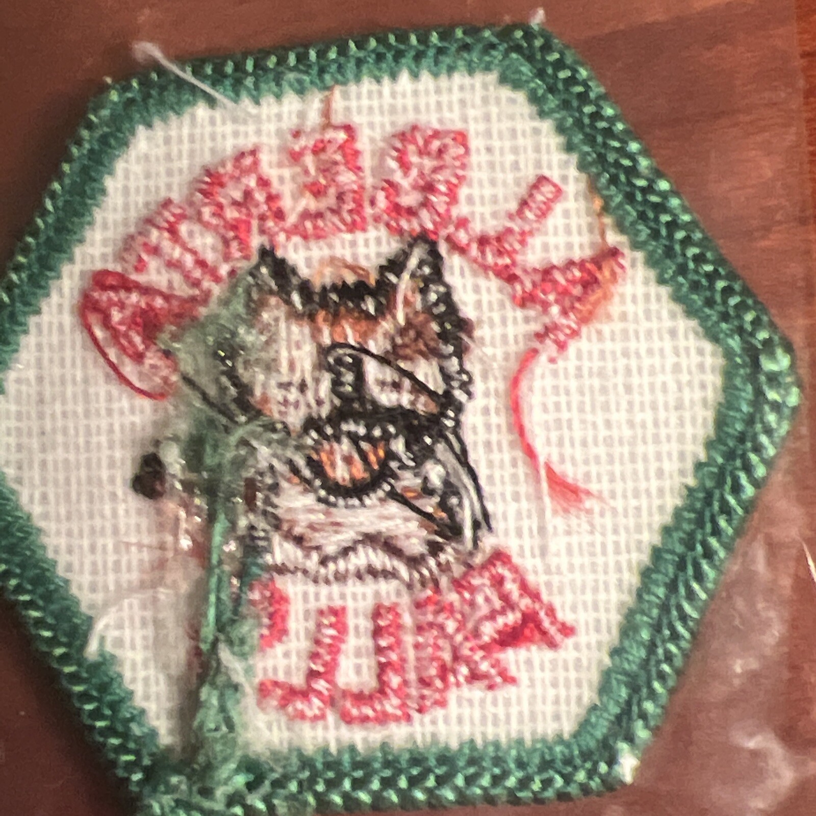 Alberta Falls CO Rocky Mountain National Park Trail Tag 1972 Patch Vintage NOS