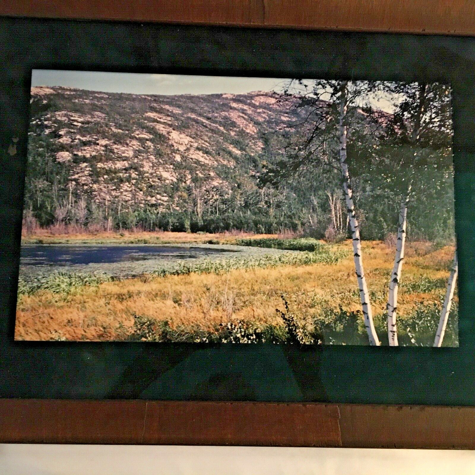 The Great Smokey Mountains Natural Original Photos & photographer w/notes
