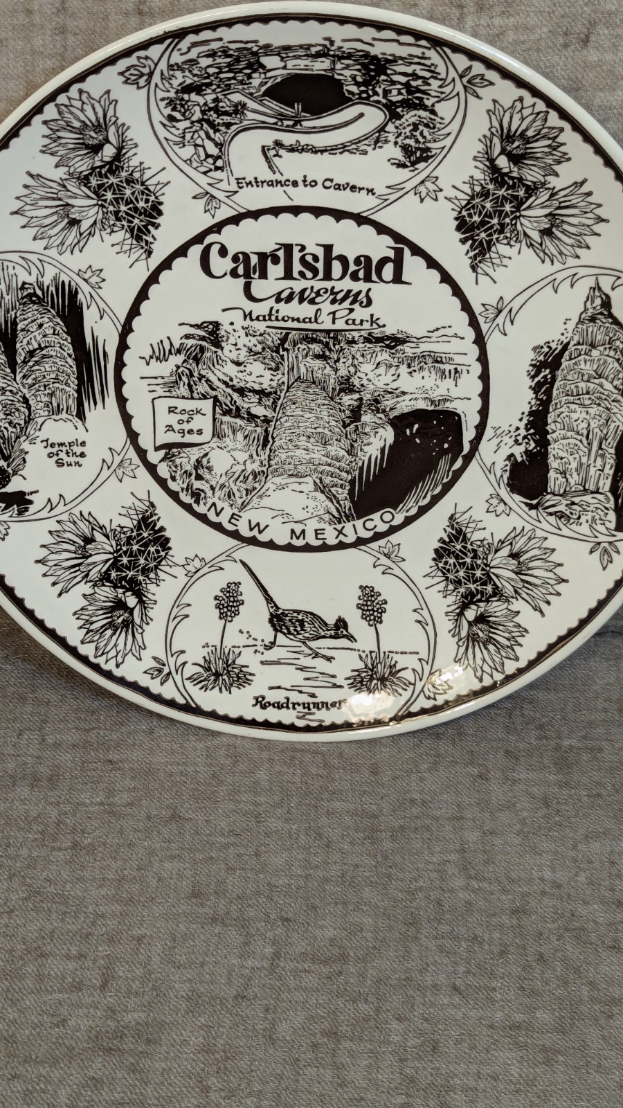 Enco Fine American Ironstone CARLSBAD CAVERNS NATIONAL PARK New Mexico 10″ PLATE