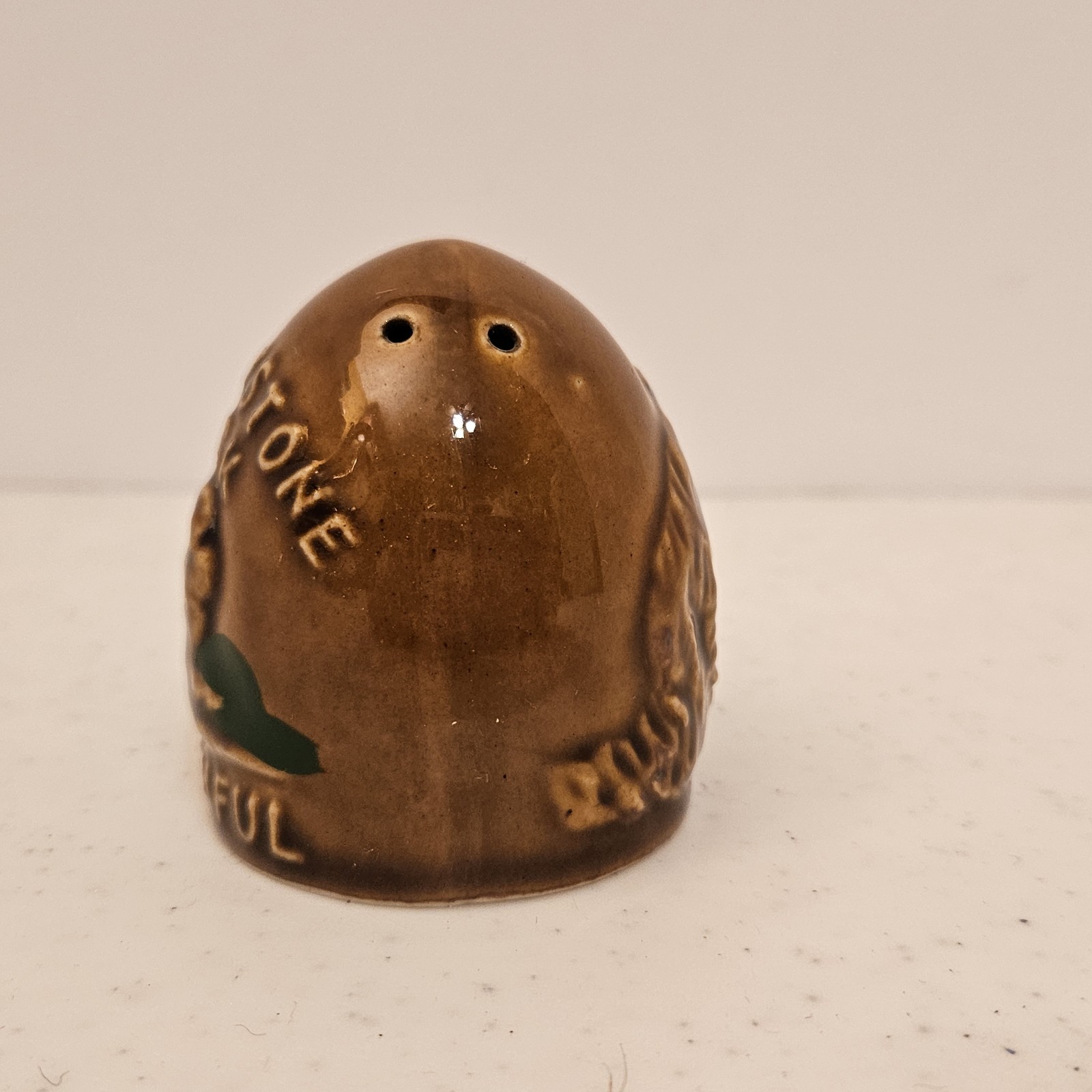 Vtg Souvenir Yellowstone Park Old Faithful Brown Bear Handle Solo Salt Shaker