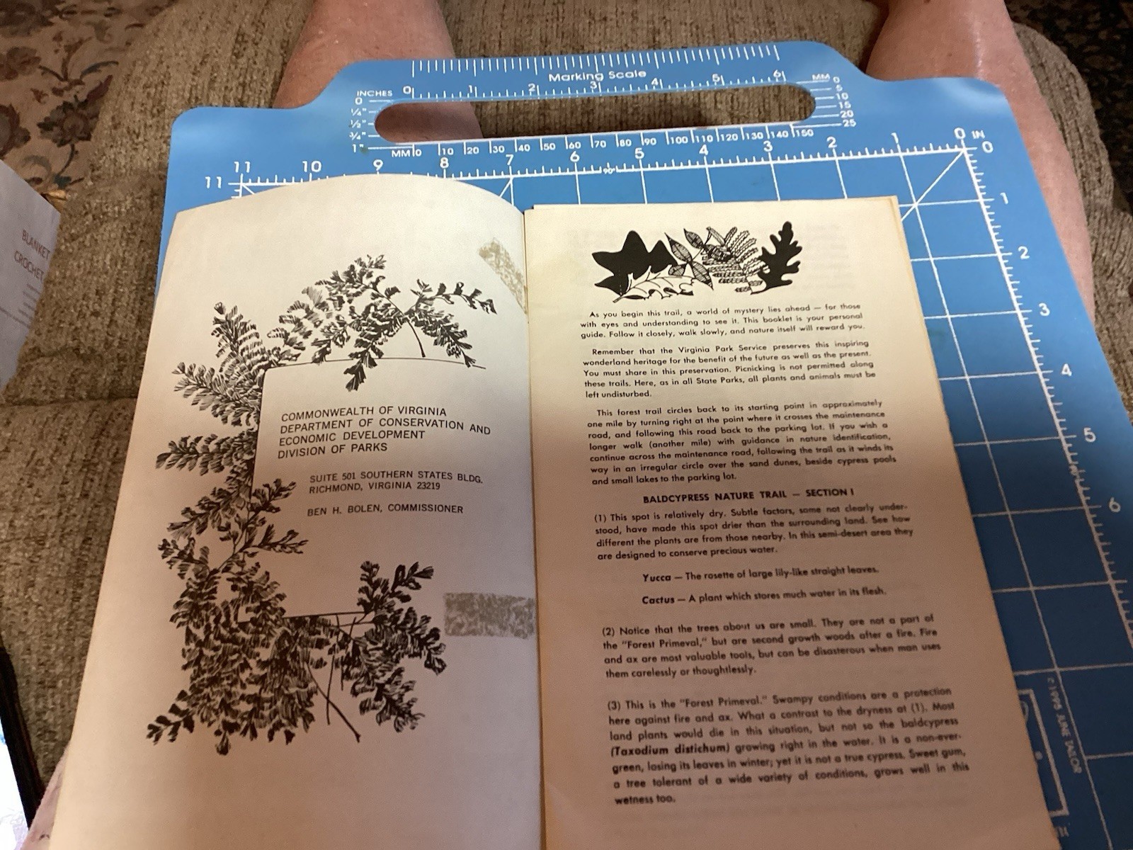 1969 Bald Cypress Nature Trail Brochure And Map