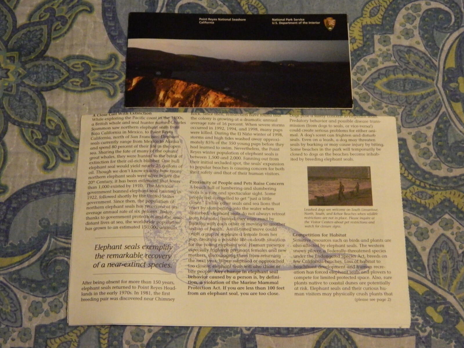 Point Reyes National Seashore Guide Map Newspaper