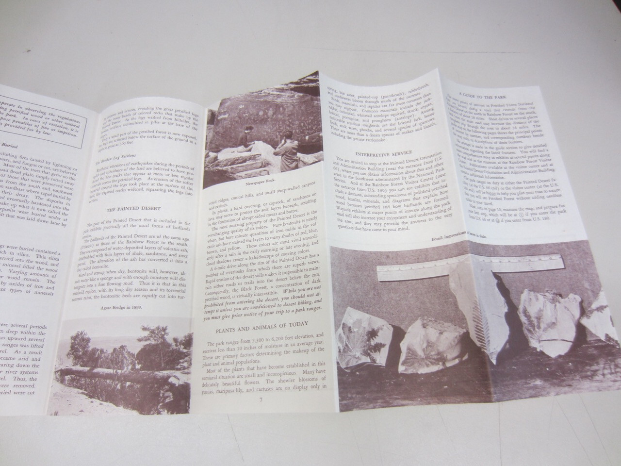 Vintage 1966 PETRIFIED FOREST Travel Brochure National Park Arizona Guide Map