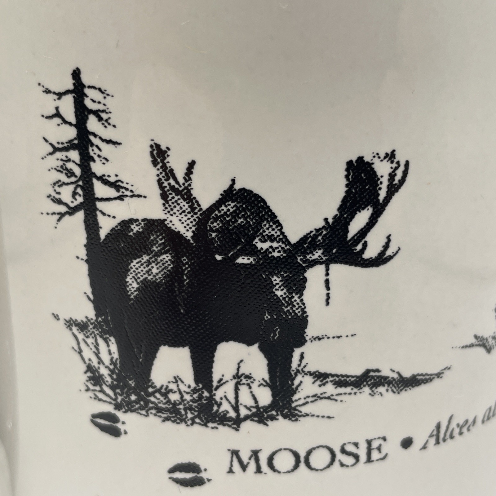 Yellowstone National Park Black & White Coffee Mug Cup with Moose Design EUC