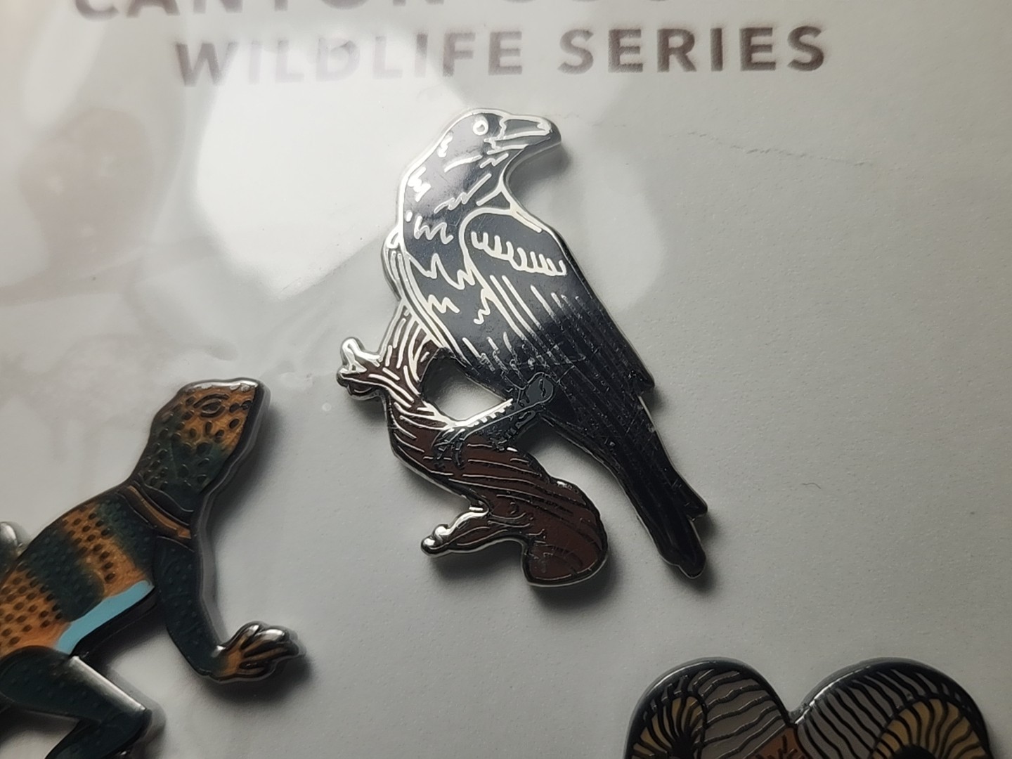 Canyonlands National Park Utah Canyon Country Desert Wildlife Pin Raven Lizard