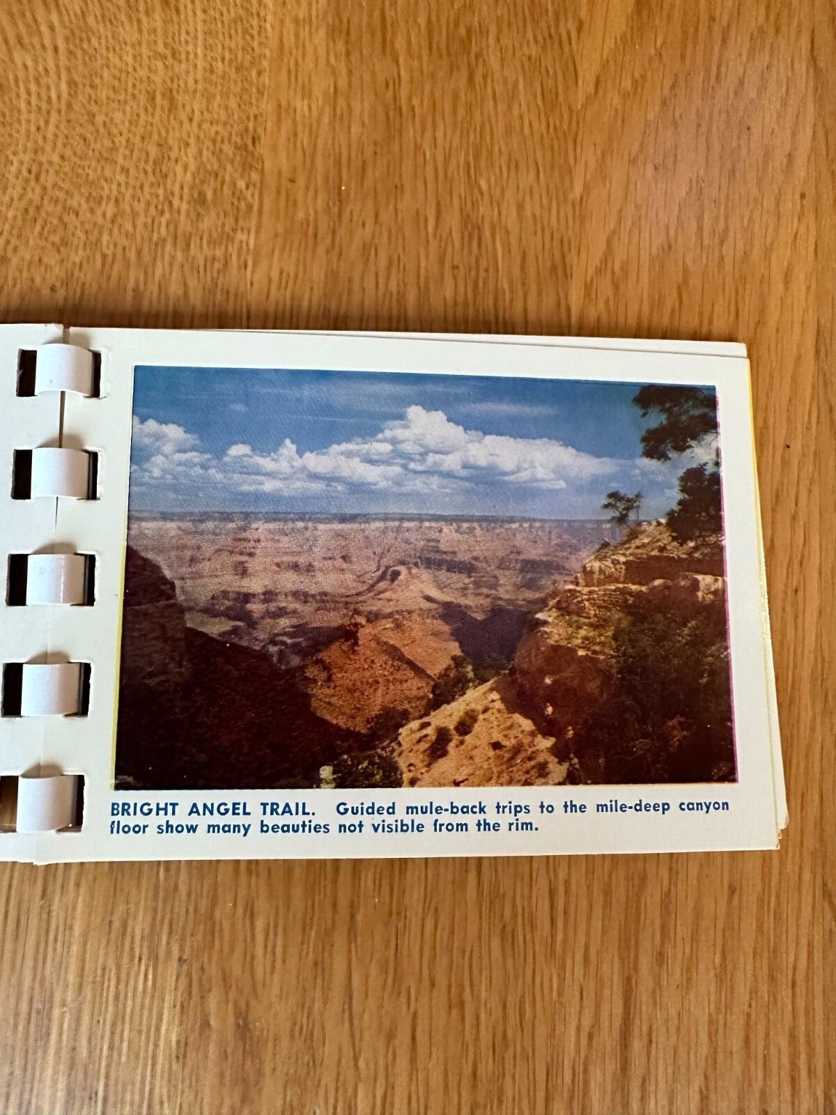 Grand Canyon National Park vintage booklet, 10 photos Published for Fred Harvey