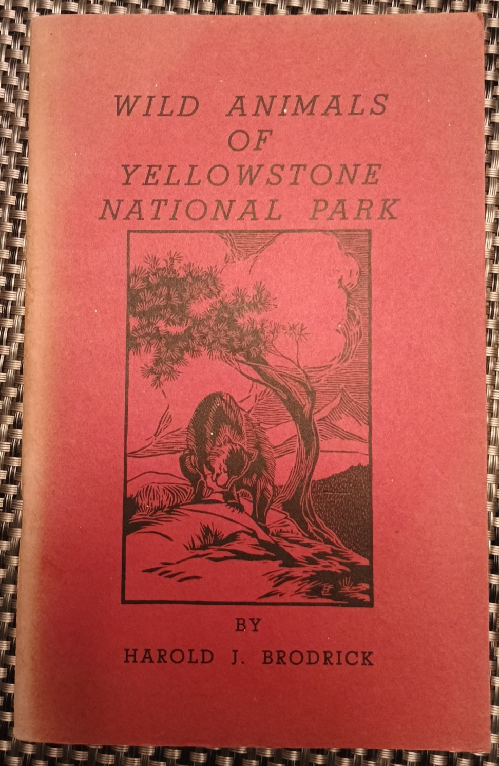 *1962* Wild Animals Of Yellowstone National Park Pamphlet by Harold J Brodrick
