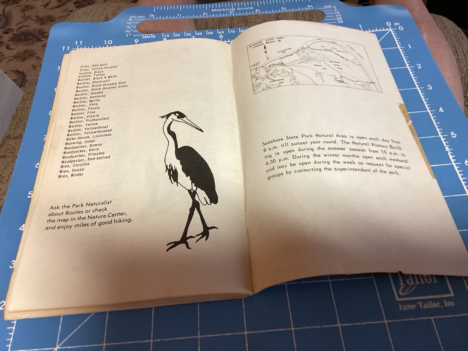 1969 Bald Cypress Nature Trail Brochure And Map