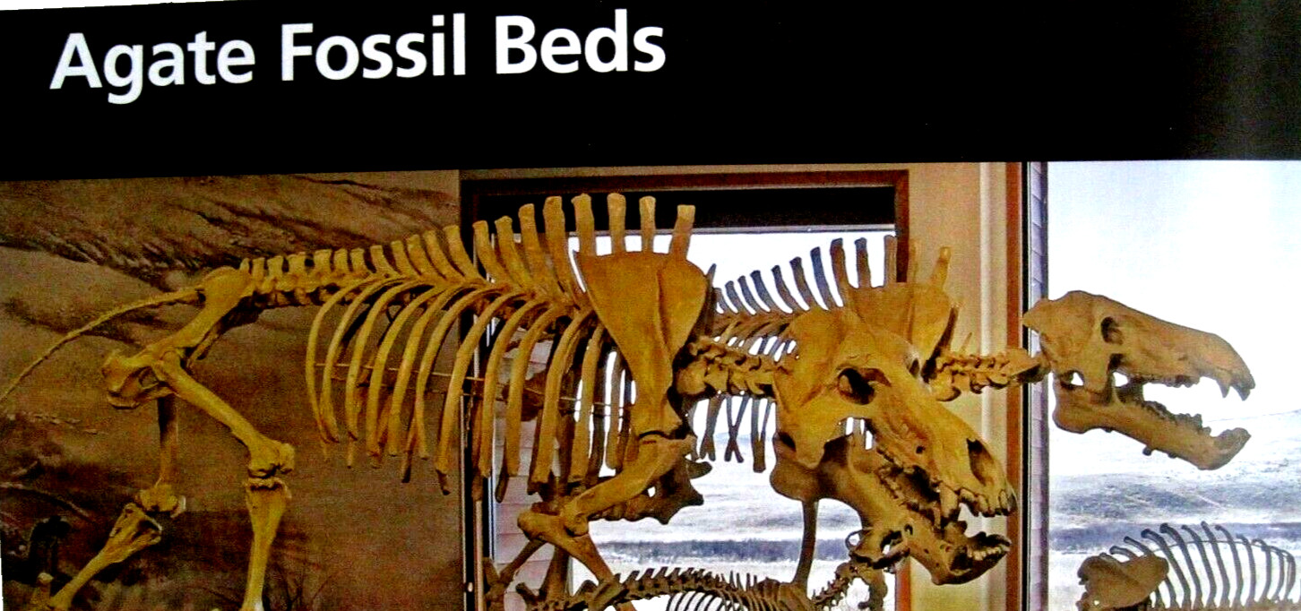 Agate Fossil Beds National Monument National Park Service Unigrid Brochure