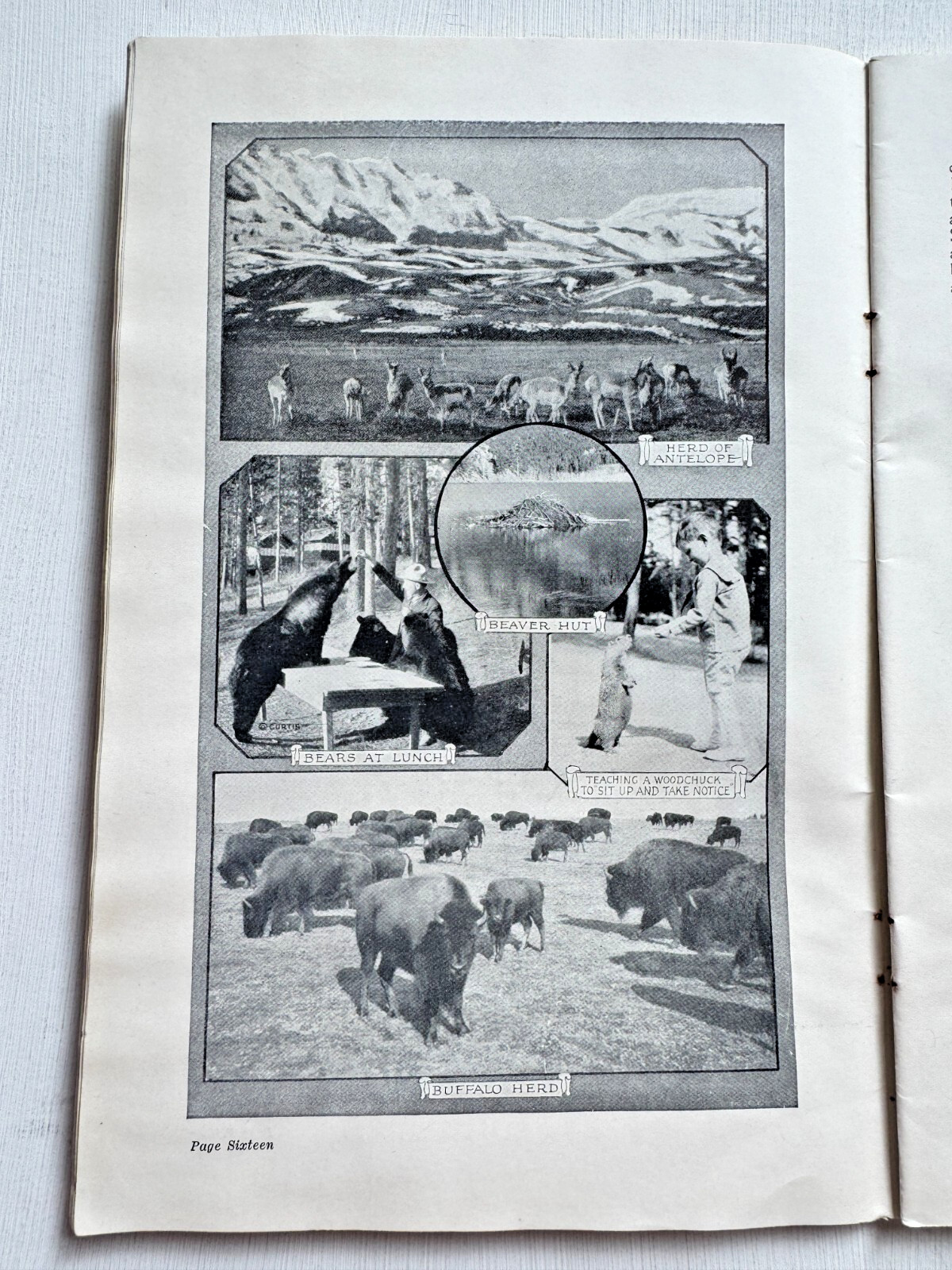1920’s Yellowstone National Park Travel Guide by Northern Pacific Railroad