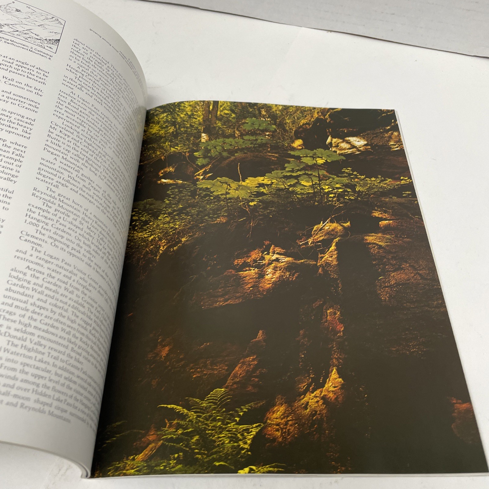 Vintage Travel Guide – National Parkwasy Glacier & Waterton Lakes 1974