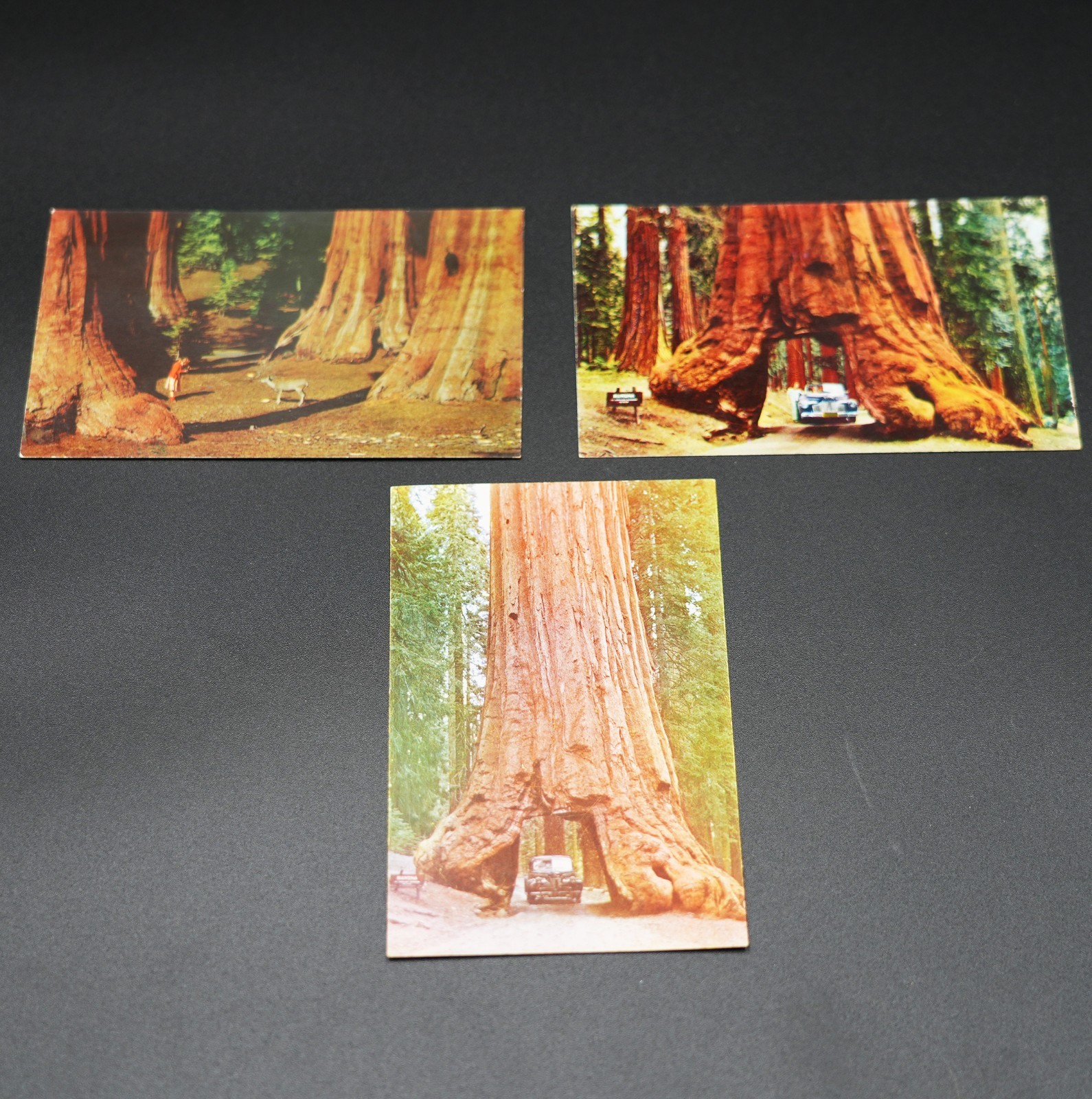 Vintage National Parks Lot Yosemite 1953 Brochure Carlsbad Caverns 12 Postcards
